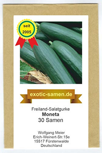 Freiland-Salatgurke - Moneta F1 Hybrid - bitterfrei - 30 Samen