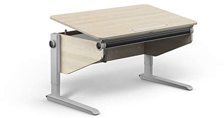 moll Winner Comfort Kinderschreibtisch höhenverstellbar | mitwachsend & ergonomisch mit neigbarer Tischplatte & gerundeten Ecken | Schreibtisch ideal für Schulkinder | Made in Germany