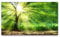 Bilder XXL Baum mit Sonnenstrahlen im Winter 120x70cm Wandbild auf Leinwand