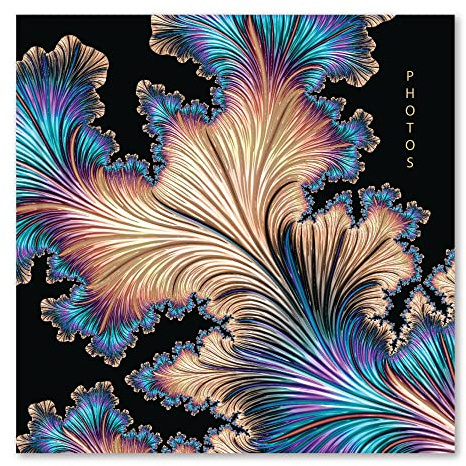 Karrma Ltd 200 Pocket Slip-In Photo Album, 6x4 in (15x10 cm), Black | Memo Write-In Space, Padded Stiff-Back Cover, Gold Flourish