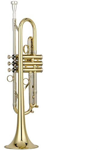 Anfänger Trompete Trompete Professionelles Westliches Windinstrument