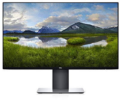 Dell U2421HE 60.5 cm (23.8) 1920 x 1080 Pixels Full HD LCD Black,Silver