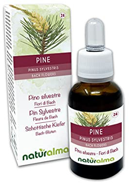 Pine o Pino silvestre (Pinus sylvestris) Flores de Bach Naturalma - Gotas 30 ml - Extracto líquido sin alcohol - Esencias florales - Vegano y libre de alcohol