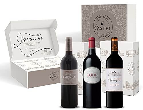 Coffret Cadeau Vins Rouges Seconds Vins de Saint Emilion Grand Cru Et Haut Medoc : Closerie de Camensac + Folie de Chauvin + Griffe de Barreyres - 3x75cl