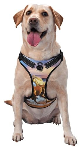 Pferde-Traktionsweste, Brustgurt, Geschirr für den Außenbereich, Spaziergänge mit dem Hund