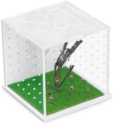 Springspinnengehege aus Acryl, 7 x 7 x 7 x 7 cm, transparentes Reptilien-Terrarium, vielseitiges Vogelspinnengehege für kleine Reptilien/Insekten, kleines Reptilienbecken mit Pipette