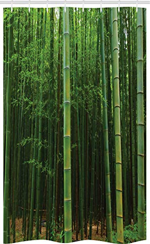 ABAKUHAUS Dunkelgrün Schmaler Duschvorhang, Exotischer Bambus-Baum-Wald, Badezimmer Deko Set aus Stoff mit Haken, 120 x 180 cm, Dunkelgrün