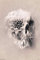 Close Up Decay Skull Poster Ali Gülec (61cm x 91,5cm)