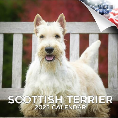 2025 2026 Scottish Terrier Kalender – Monatlicher Wandkalender für Hunderassen – 30,5 x 61 cm geöffnet – dickes Papier ohne Auslaufen – Geschenk – akademischer Lehrerplaner Kalender Organisieren und