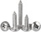 FandWay 125Pcs Self Tapping Screws 304 Stainless Steel,M4 Wood Screws Kit,Truss Head Self Drilling Screw,Round Head Sheet Metal Screw Phillips Drive for DIY WoodWork Repairs.