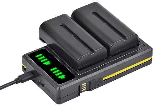 Pickle Power NP-F550 Batterie LED Chargeur Kit 2 * 2600mAh Batterie pour Sony NP F750, F770, F570, F550, F530, F330, F950, F960, F970, CCD-SC55,TR516, TR716, TR818, TR910, TR917