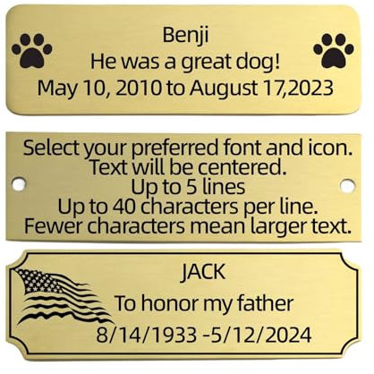 QIPAN Brushed Stainless Steel Personalized Name Plaque,Engraved Custom Name Plate,Engraving Custom Name Plate with Adhesive Backing or Screws for URN,Trophy, Picture Frame