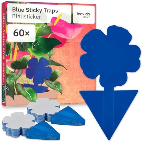 Pièges Bleus Contre Les Thrips : 60 Pièges Adhésifs sans Insecticide – Protection des Plantes d’Intérieur – Attrape-Insectes avec Stickers Bleus – Piège Collant Anti-Mouches – de Inovida