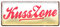 Kusszone Blechschild - Retro Deko Schild - Wanddeko für Schlafzimmer Wohnzimmer Balkon Terrasse Gartenlaube Lieblingsplatz - 28 cm x 12 cm