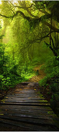 wandmotiv24 Türtapete Holz-Weg in mystischem Wald, Urwald 90 x 200cm (B x H) - Dekorfolie selbstklebend Sticker für Türen, Türfolie, Aufkleber, M1127