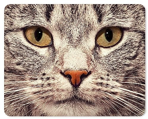 Tapis de souris avec motif de chat I 24 x 19 cm I Tapis de souris de taille standard I Antidérapant I pour filles adolescentes et femmes I Visage de chat I dv997