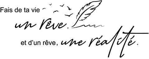 Stickers Muraux Lettres Phrase Inspiration Citation Française Créative Bricolage pour Chambre Miroir Décoration Salon Bureau Kitchen