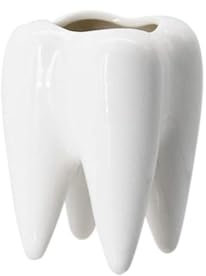 LECMACY Pot de Fleurs en Céramique Blanche en Forme de Dent Mignon, Mini Récipient Juteux, Porte Stylo Créatif pour Bureau, Ne Comprend Pas Les Plantes