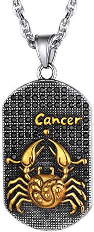 Richsteel Damen Sternzeichen Krebs Anhänger Dog Tag Anhänger Sternbild Halskette für Geburtstag Valentinstag