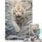 Teenager 1000-teiliges Puzzle Anspruchsvoll, Aber lustig und humorvoll Tiger White Künstlersammlung, Bildende Kunst38x26cm