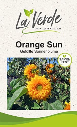 Sonnenblume Orange Sun Blumensamen
