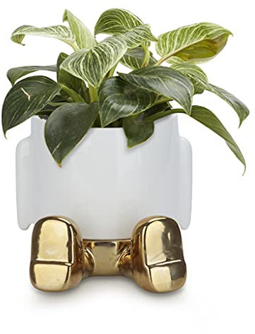 Balvi Pot de Fleurs MrSitty Gold Edition Couleur Doré Un Pot Amusant pour Les Plantes et Les Fleurs C