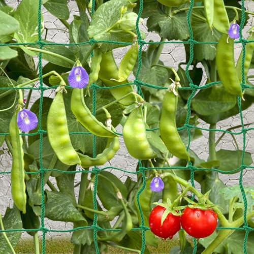 Trellis Netting for Climbing Plants, Heavy Duty Garden Vegetable Cucumber Grow Net, Outdoor Indoor Plants Trellis Net for Beans Tomatoes Green Peas Pumpkin Flowers (16.4 x 6.6 Ft)