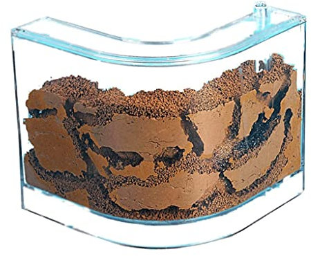 DIY kreatives Ameisenfarm-Set, transparentes Ameisenschloss, gefüllter Ton, Sand, Ameisenfarm, Ameisennest, Öko-Lebensraum, professionelle Ameisennestfarm for Kinder und Erwachsene ( Color : Parent ,