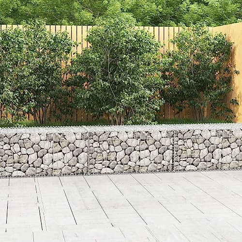 AUVYI Panier en pierre - Décoration de jardin - 300 x 50 x 50 cm - Mur de gabion avec couvercle - Clôture de jardin - Gabion de jardin - Construction stable - Abion en pierre - Paniers gabions en