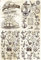 Zita`s Creative Reispapier A4 - Old Maritime Objects. Motiv-Strohseide, Strohseidenpapier, Decoupage Papier