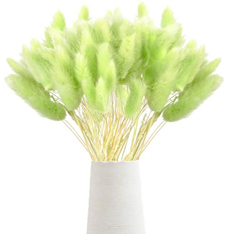 Sunshine smile 60Pcs Getrocknetes Pampasgras,Trockenblumen Bodenvase,Natürlich Pampasgras Blumenstrauß,Trockenblumen Blumenstrauß Deko,Künstlich Groß Trockenblumen,Trockenblumen Pampasgras
