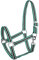 Halfter für Pferde Start Economic Pferdehalfter - Verstellbares Halfter Pferd, Stallhalfter Pony, Vollblut, Warmblut (Aquamarin/Weiß/Schwarz, COB)