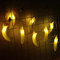 DINOWIN Obst Lichterkette 9.8ft 20 LED batteriebetrieben dekorative Lichter für Urlaub Weihnachten Hochzeit Party (Banane)