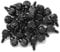 VAPKER 50PCS 6#-32x6 M3.5 PC Computer Case Thumbscrews Thumb Screws Black Zinc for Hard Drive Computer Case Motherboard Fan Power Graphics