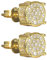 Zirkonia Ohrstecker 14K Gold/Platinbeschichtete Eiskristall Ohrstecker Edelstein Ohrringe Hip Hop Ohrstecker (Gold)