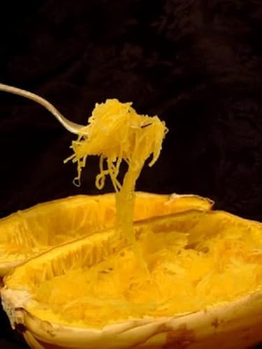 Spaghetti Kürbis Kürbissamen 10 Samen