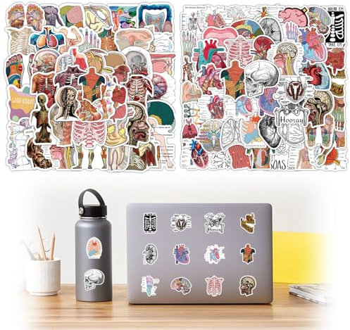 arrderly 100 Stück Organ Anatomie Aufkleber, Computer-Notebook-Aufkleber, Organ-Aufkleber, für Fahrrad,Gepäck,Skateboard,Stoßstange,Motorrad,Kühlschrank, Laptop