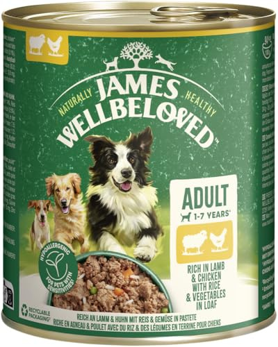 James Wellbeloved JWB CIL Dog 800g LBPo DE