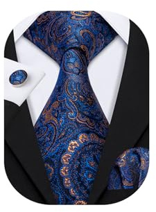 Barry.Wang Mens Blue Paisley Tie and Silk Pocket Square Cufflinks Set for Men