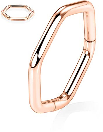 16G Septum Schmuck Rose Gold Conch Piercing Schmuck Nasenring Creolen Daith Ohrringe Chirurgenstahl Higned Segment Seamless Clicker Ring Helix Knorpel Rook Lobe Piercing Schmuck 8mm Sechskantform