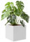 BraveeFly Pot de fleurs carré 60 x 60 x 60 cm - Pour l'intérieur et l'extérieur - Grand bac à plantes pour terrasse, jardin, cour - Blanc