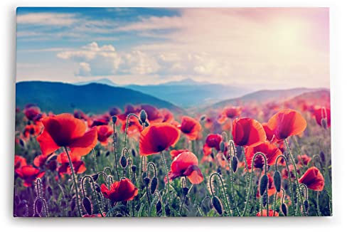 Paul Sinus Wandbilder Deko Kunstdruck 90x60cm Mohnblumen Feld Wildblumen Blumen rote Blüten