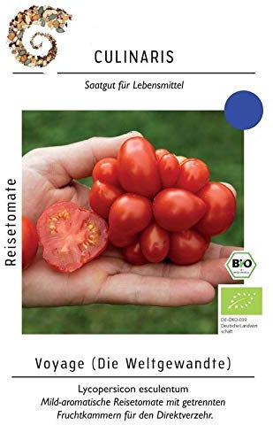 Culinaris 058 Reisetomate Voyage (Bio-Reisetomatensamen)