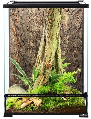 ReptiPlanet Terrarium en Verre 45 x 45 x 60 cm