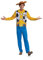 DISGUISE Woody Basic Plus Adult (Eu)