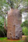Baobab Adansonia digitata, Baobab, Bonsai, 5 Seeds: Only Seeds