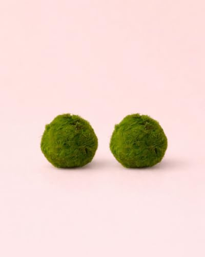 PUR PLANT 2x Marimo Ball | Bola de Musgo Húmedo Natural | Decoración Natural para Terrarios, Acuario y Pecera | Ø 3 cm