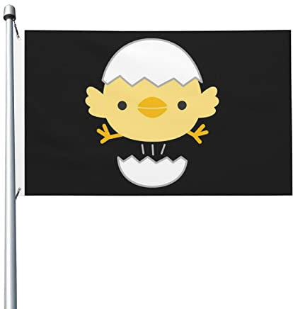 Leichte Flagge, doppelseitig, Eierschalen-Küken-Flagge, 90 x 150 cm, mit Metallösen, Outdoor-Gartendekoration
