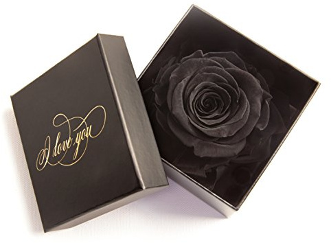 Infinity Rose konserviert Rosenbox schwarz I LOVE YOU Liebesbotschaft Geschenk für Frauen (1 Rose, Schwarz-Schwarz)