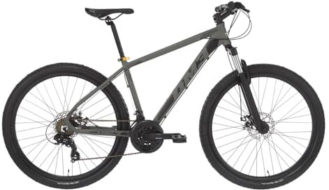 ALPINA Bike Moster, Mountainbike, 21 V, für Herren, Herren, anthrazit, 440 mm